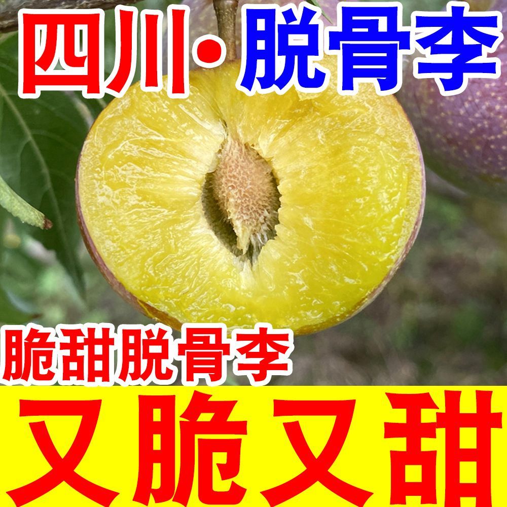 【脆甜】正宗脆甜脱骨李子当季新鲜水果四川脱骨青脆李五月脆李子 图片 4