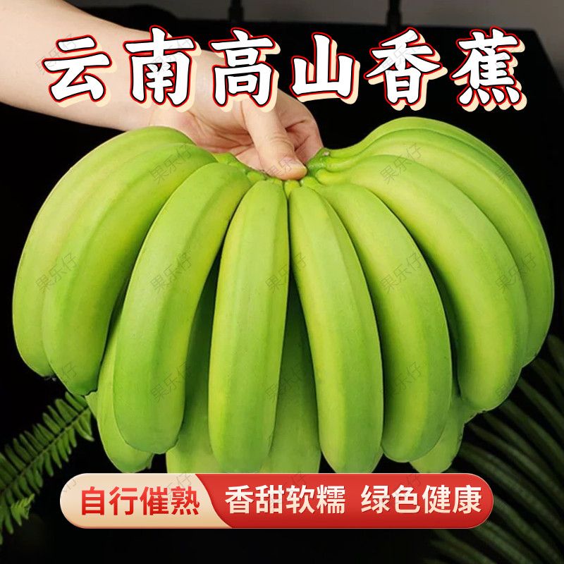 【新客立减】正宗云南高山香蕉新鲜现摘青果原生态包邮批发 图片 4
