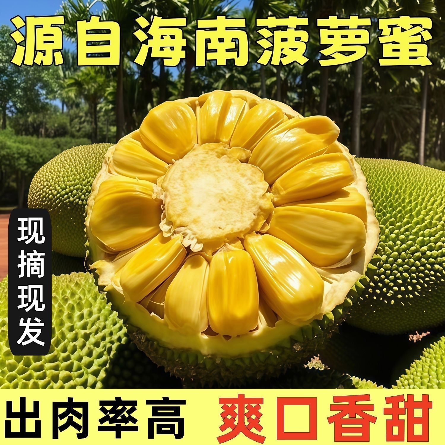 【低价】正宗海南三亚菠萝蜜黄肉木菠萝当季新鲜水果批发一整个卖 图片 2