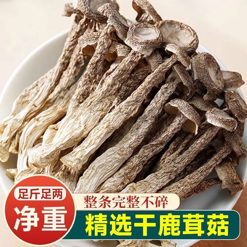 【耳小主旗舰】鹿茸菇干货鹿茸菇新货鹿耳菇批发鹿茸菇凉拌脆脆菇 图片 2