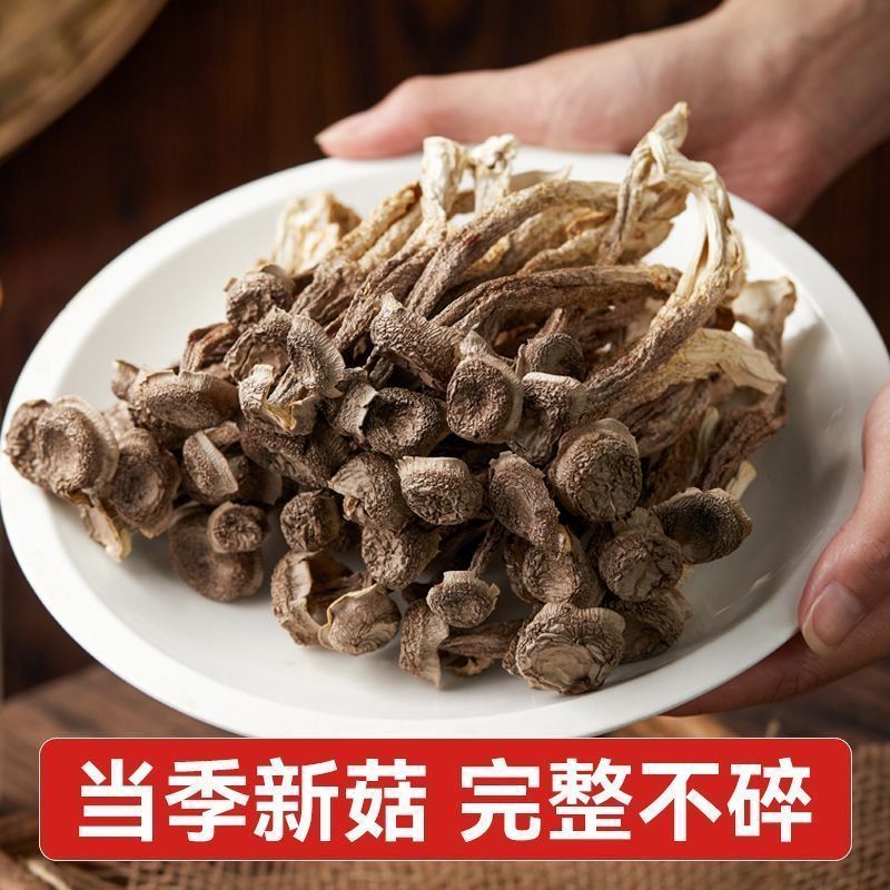 【耳小主旗舰】鹿茸菇干货鹿茸菇新货鹿耳菇批发鹿茸菇凉拌脆脆菇 图片 4