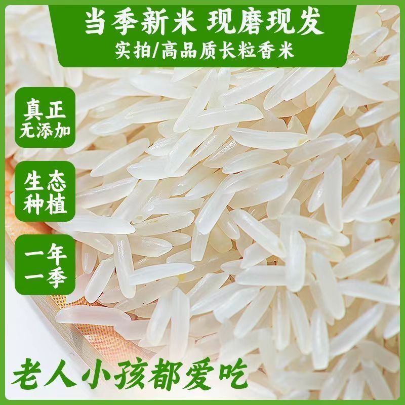 广西一级香米农家长粒香新米上市煲仔饭蛋炒饭煮饭晚稻便宜批发