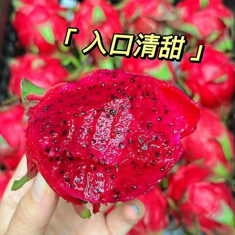 【爆甜】5斤现摘正宗红心火龙果新鲜直发应季水果超甜金都一号 图片 5
