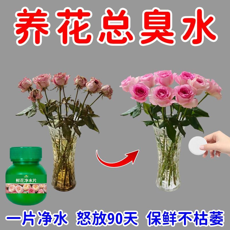 鲜花保鲜消毒片水养花卉保鲜剂净化水质花期延长剂持久花店通用