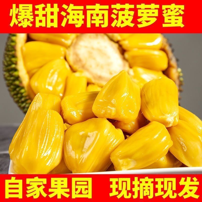 【低价】正宗海南三亚菠萝蜜黄肉木菠萝当季新鲜水果批发一整个卖 图片 5