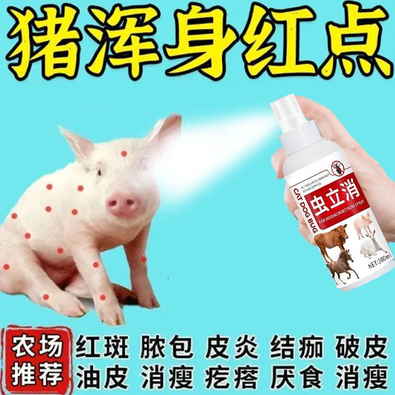猪皮肤瘙痒皮肤感染止痒猪身上起红疙瘩痘痘猪皮肤病猪用猪长痘痘