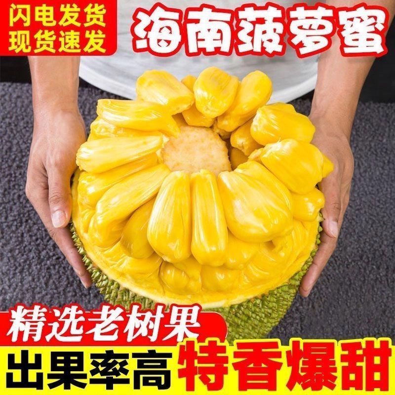 【低价】正宗海南三亚菠萝蜜黄肉木菠萝当季新鲜水果批发一整个卖 图片 3