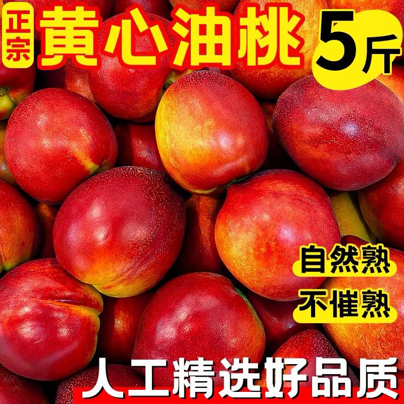 现摘头茬黄心油桃应季新鲜水果脆甜当季孕妇整箱桃子黄肉脆桃批发