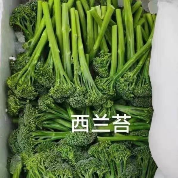 精品西兰苔甜杆西兰苔新鲜甜杆西兰花长杆西兰苔现摘蔬菜沙拉