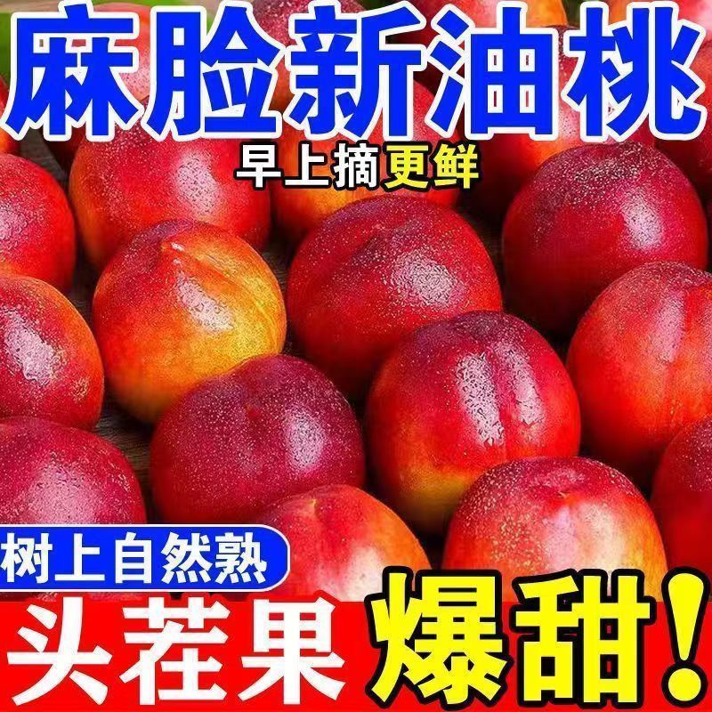 现摘头茬黄心油桃应季新鲜水果脆甜当季孕妇整箱桃子黄肉脆桃批发 图片 6