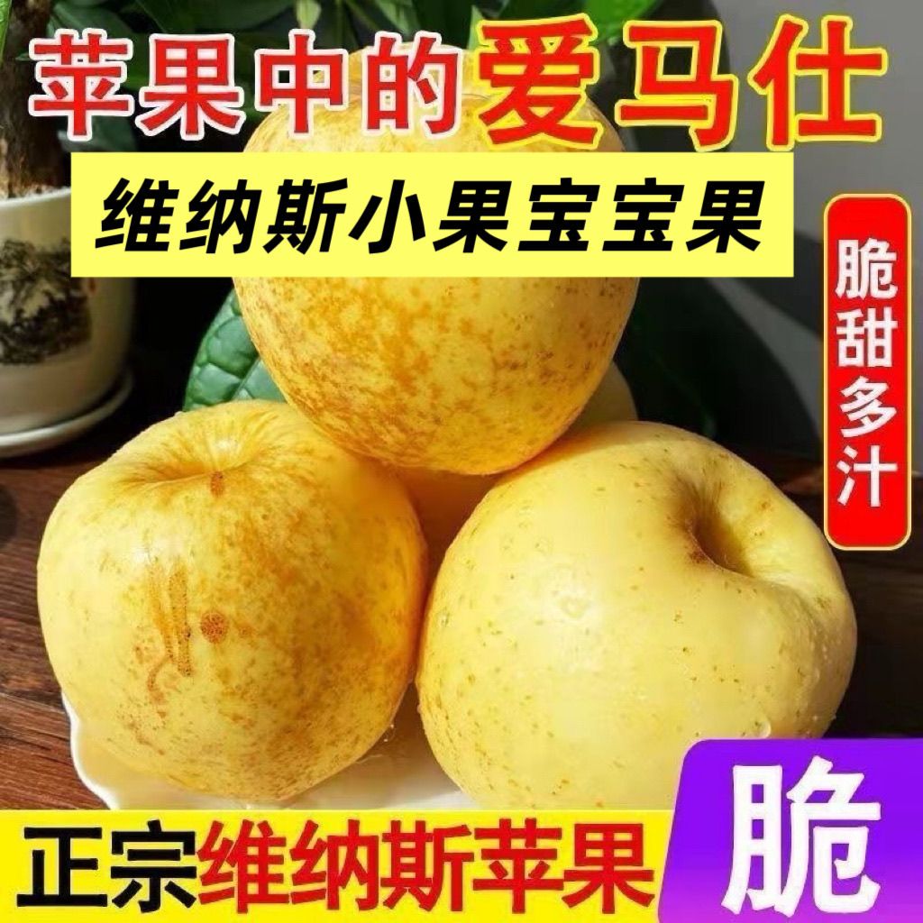 山东正宗维纳斯雀斑苹果黄金脆甜水果新鲜水果苹果当季批发