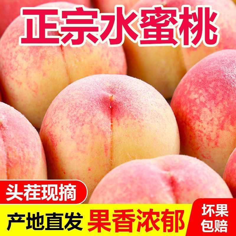 脆甜桃子水蜜桃新鲜水果高山脆甜毛桃应季现摘青皮鲜桃一整箱