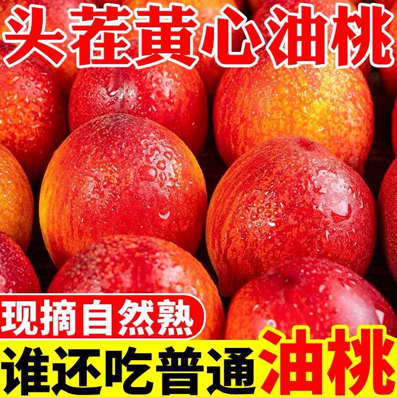 现摘头茬黄心油桃应季新鲜水果脆甜当季孕妇整箱桃子黄肉脆桃批发 图片 3