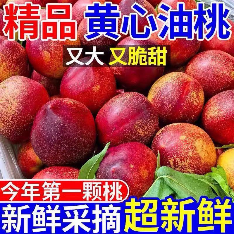 现摘头茬黄心油桃应季新鲜水果脆甜当季孕妇整箱桃子黄肉脆桃批发 图片 4