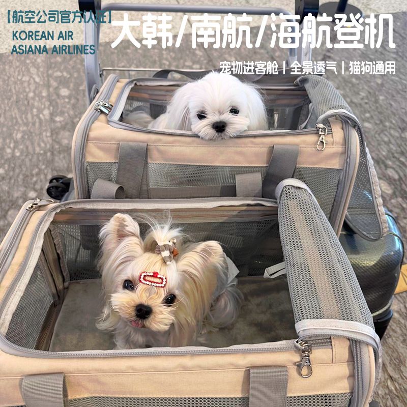 航空宠物包大韩/韩亚/海航/猫狗上客舱软包透气手提斜跨轻便猫包