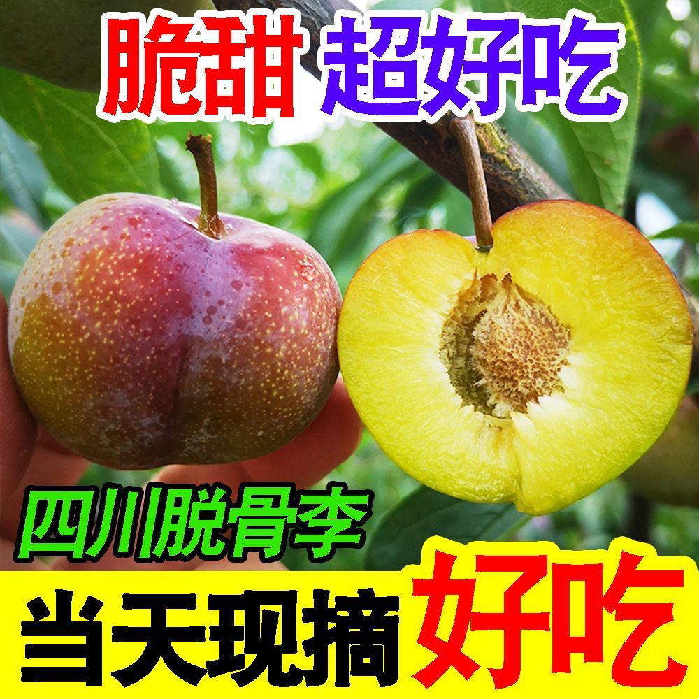 彩箱正宗四川脱骨李脆甜李子当季新鲜水果脱骨李蜂糖李青红脆李