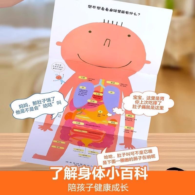 乐乐趣绘本身体大发现不可思议的身体绘本2-6岁幼儿生理启蒙绘本 图片 6