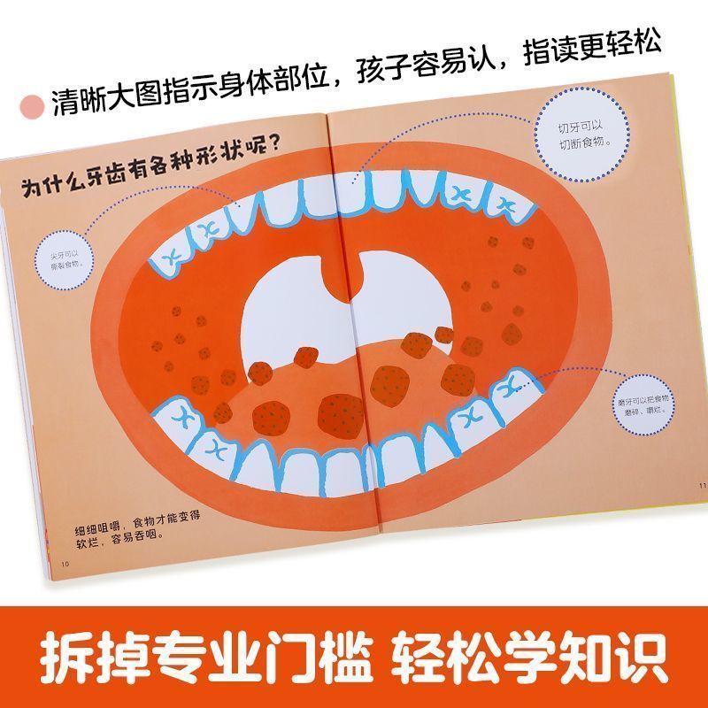 乐乐趣绘本身体大发现不可思议的身体绘本2-6岁幼儿生理启蒙绘本 图片 7