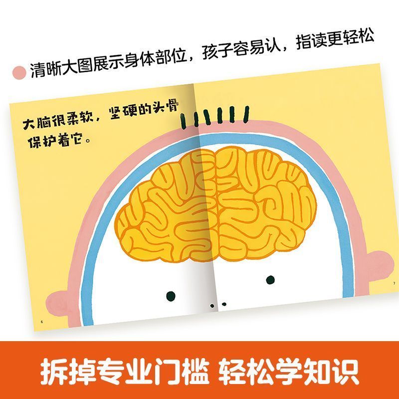 乐乐趣绘本身体大发现不可思议的身体绘本2-6岁幼儿生理启蒙绘本 图片 8