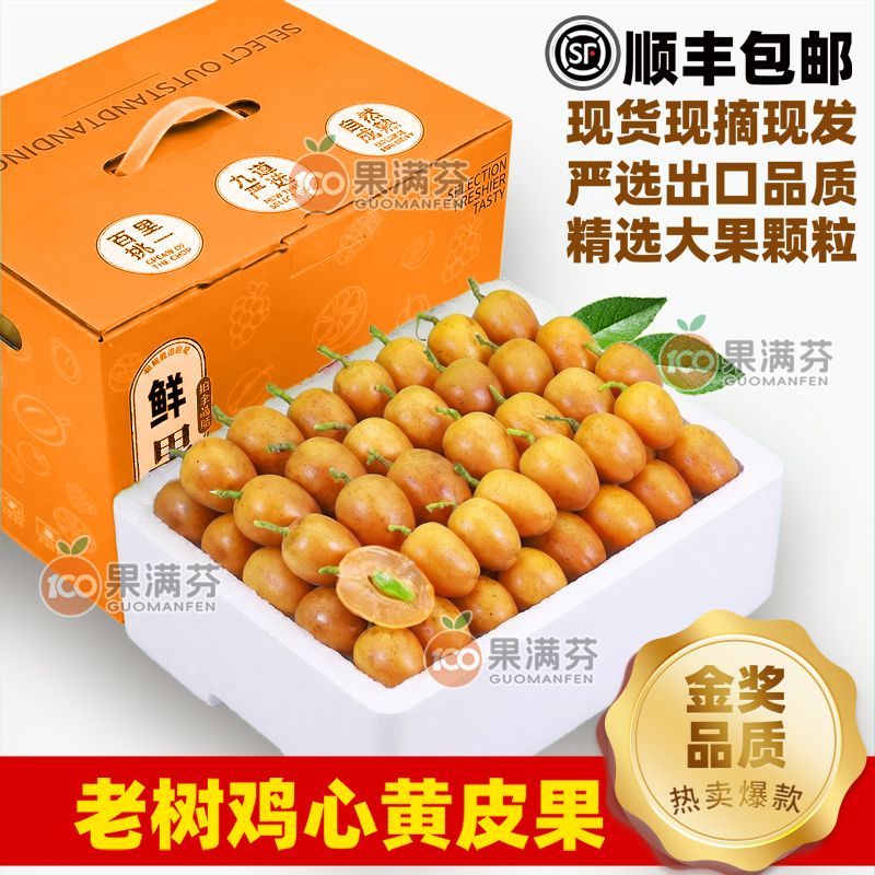 顺丰包邮广东特产鸡心黄皮果新鲜现摘孕妇酸甜水果当季可泡酒