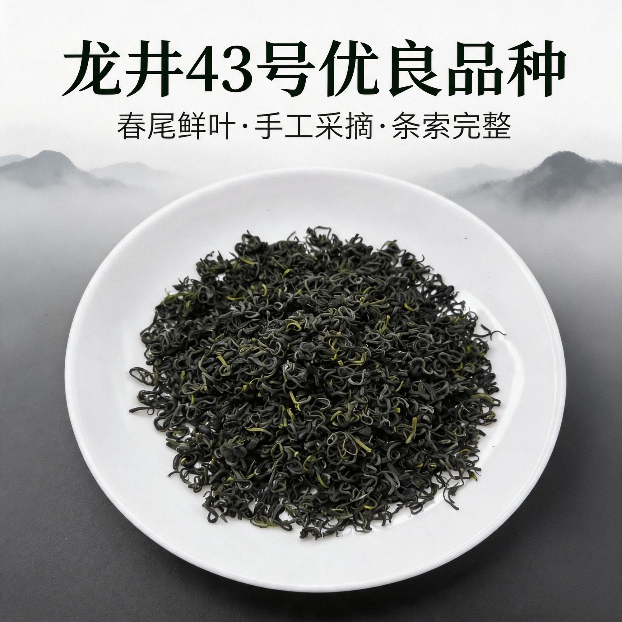 2026贵州高山龙井43号品种香茶豆香回甘赖泡度,细条条形漂亮时常