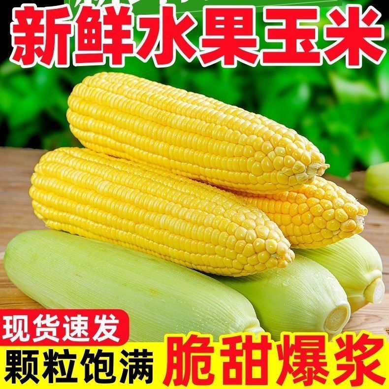 广西现摘新鲜玉米太阳花水果玉米脆甜爆浆现摘产地直发批发 图片 4