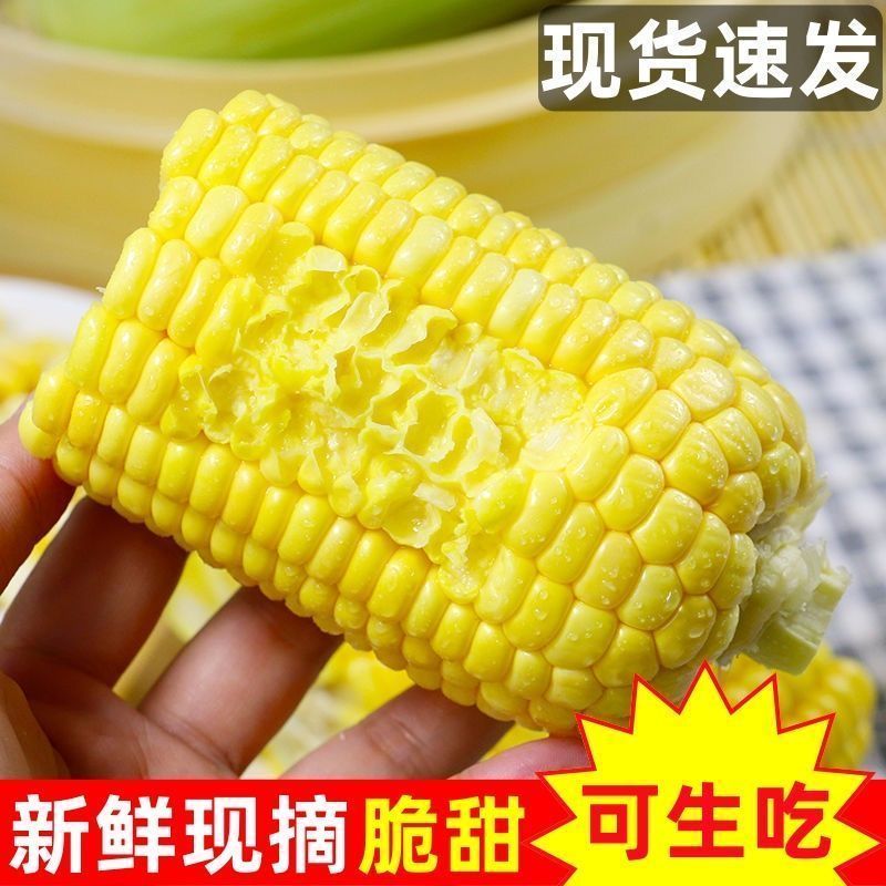 广西现摘新鲜玉米太阳花水果玉米脆甜爆浆现摘产地直发批发 图片 5