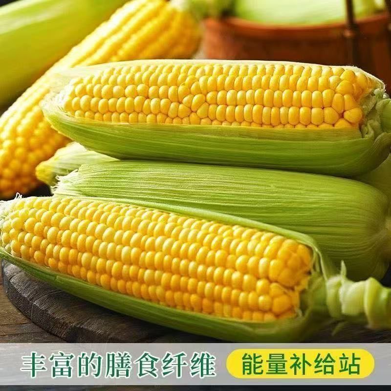 广西现摘新鲜玉米太阳花水果玉米脆甜爆浆现摘产地直发批发 图片 8