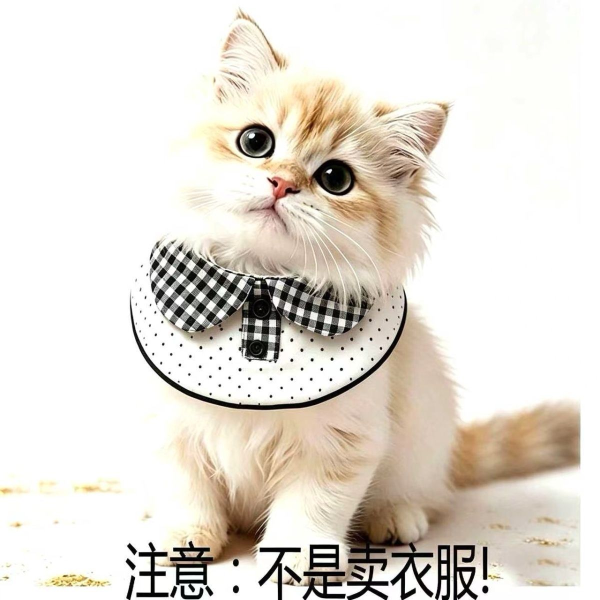 商品缩略图 2