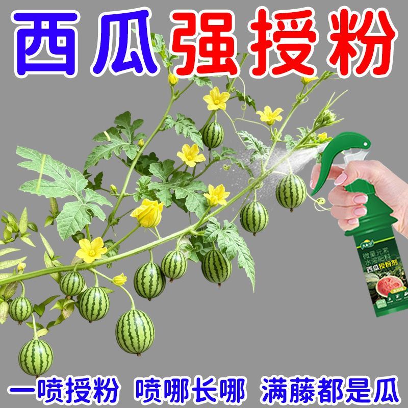 西瓜授粉剂点花免沾花授粉坐果精保花保果素防落防畸叶面肥