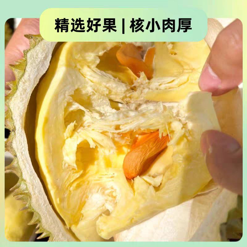 【泰国金枕榴莲】正宗进口新鲜高肉率带壳软糯香甜包邮坏果包赔 图片 8
