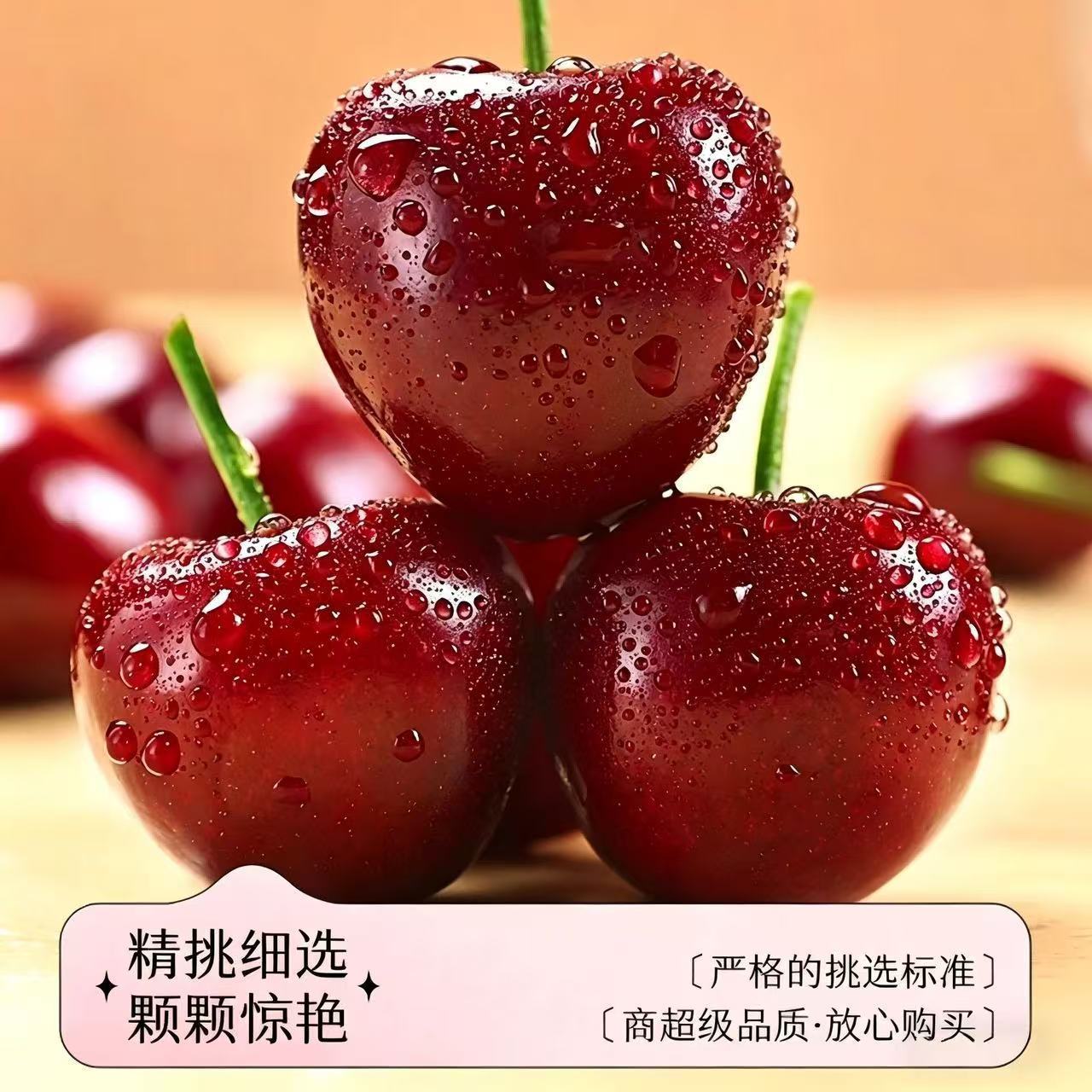 现摘现发大樱桃先锋新鲜水果美早国产车厘子应季水果孕妇水果