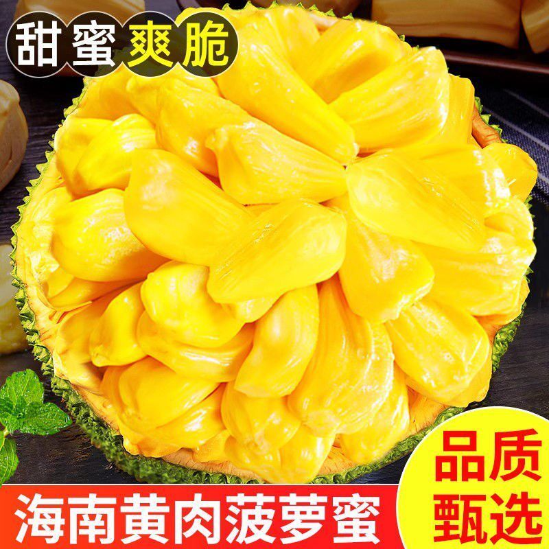 现摘海南三亚黄肉菠萝蜜新鲜水果当季干苞脆甜黄肉木波罗蜜一整个