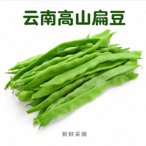云南直发云南高山扁豆净重刀豆应季蔬菜时令四季芸豆无筋豆角