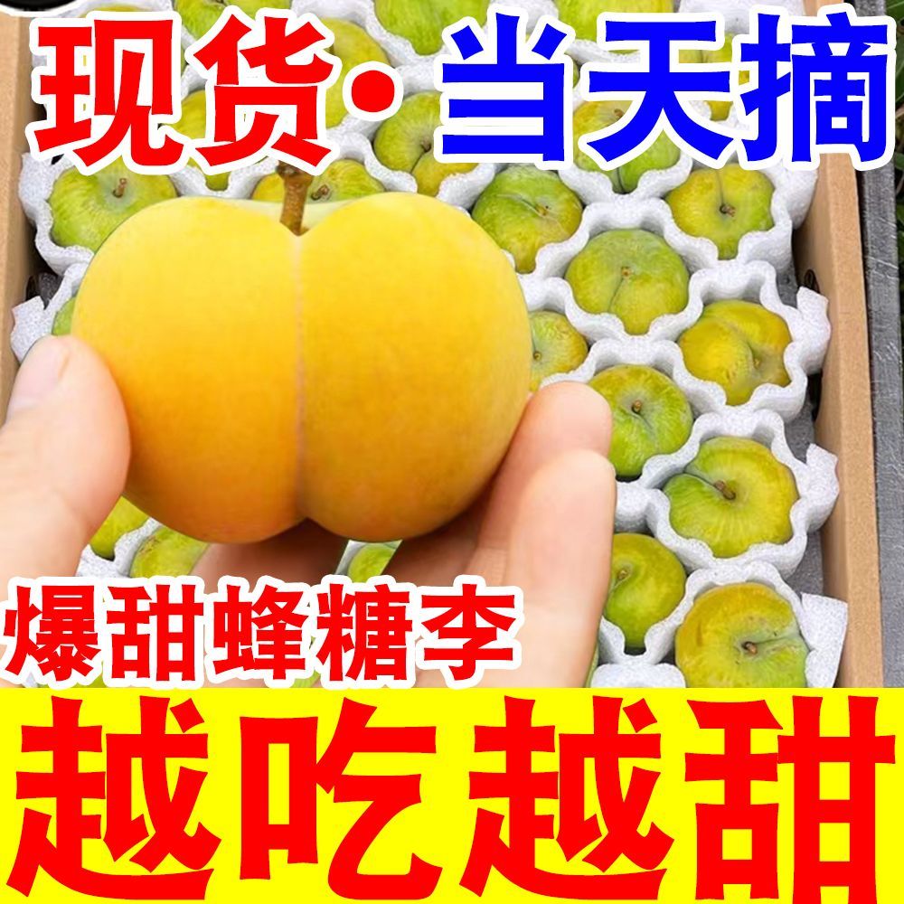 正宗超甜黄金蜂糖李子脱骨李当季新鲜水果冰糖李子脆甜整箱批发