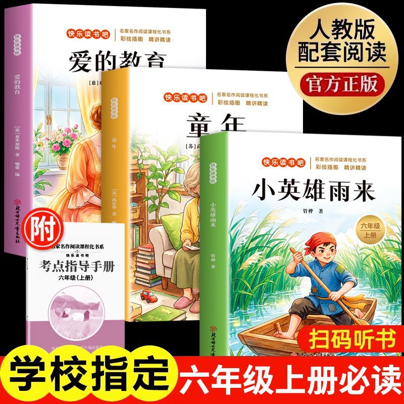 配套新人教版六年级上册快乐读书吧小英雄雨来爱的教育高尔基童年