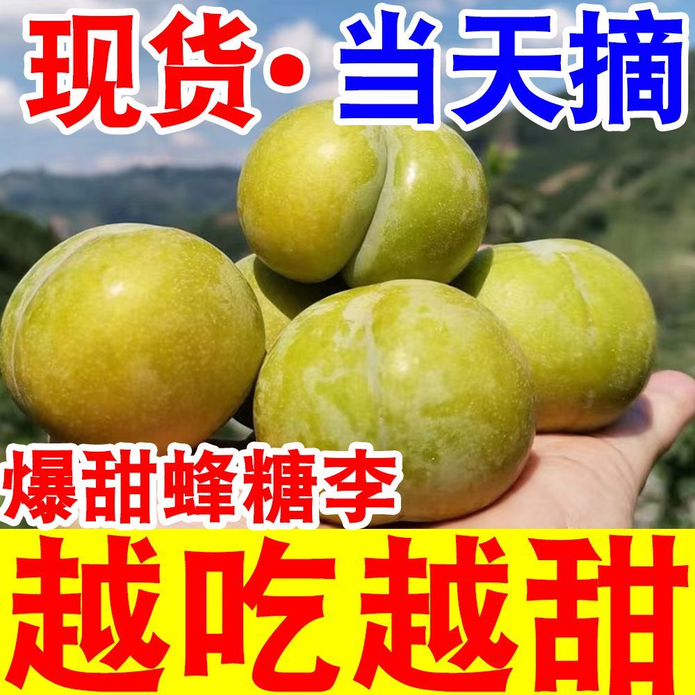 正宗超甜黄金蜂糖李子脱骨李当季新鲜水果冰糖李子脆甜整箱批发 图片 4