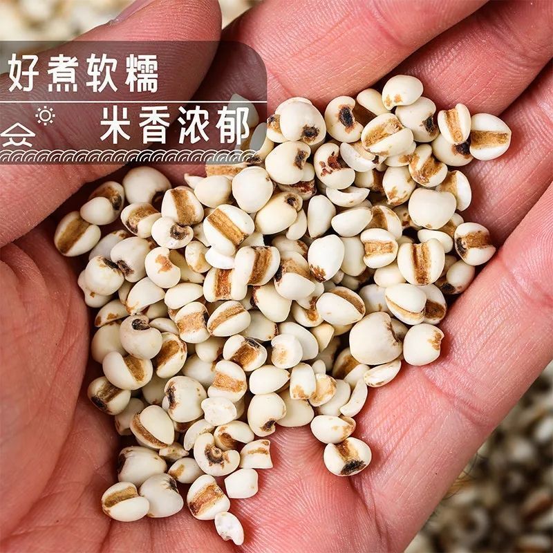 薏米贵州新货干货薏仁米仁农家自产薏米红豆芡实赤小豆五谷杂粗粮