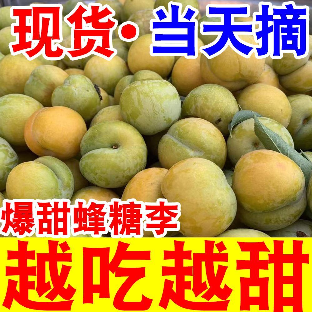 正宗超甜黄金蜂糖李子脱骨李当季新鲜水果冰糖李子脆甜整箱批发 图片 5