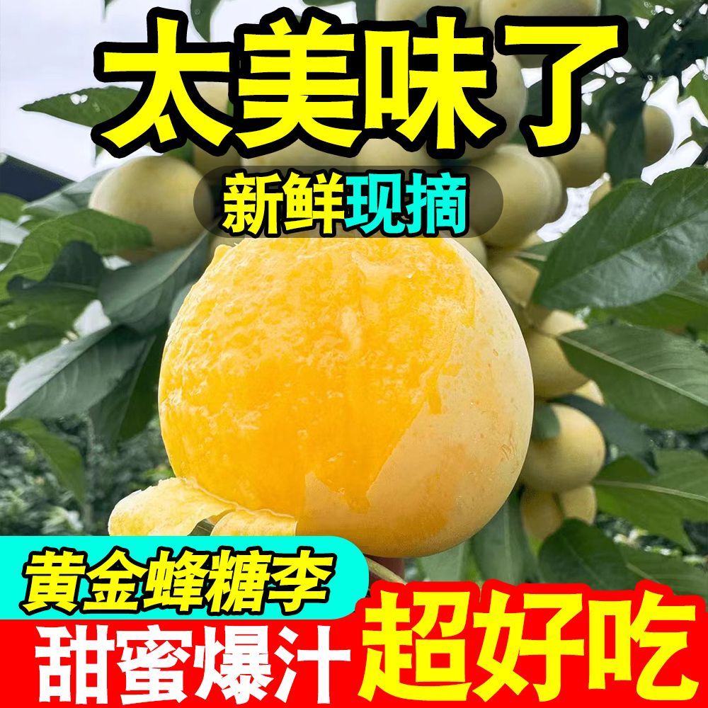 彩箱正宗黄金蜂糖李当季新鲜水果四川青脆冰糖李脆甜脱骨蜂蜜李