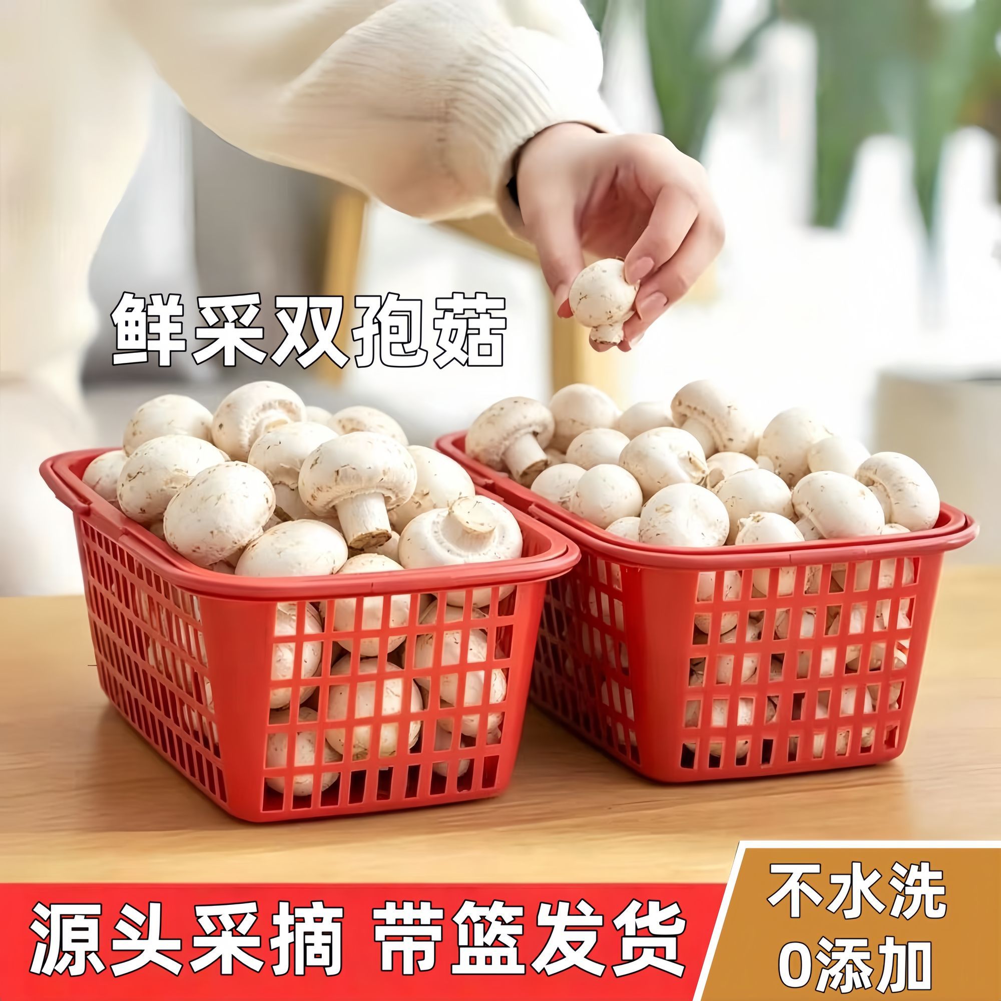 新鲜采摘口蘑优质精选发货新鲜食材火锅烧烤菌菇原生态