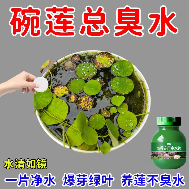 碗莲专用净水片高效养花净化水质净水片荷花净水荷花缸驱虫不臭水 图片 2