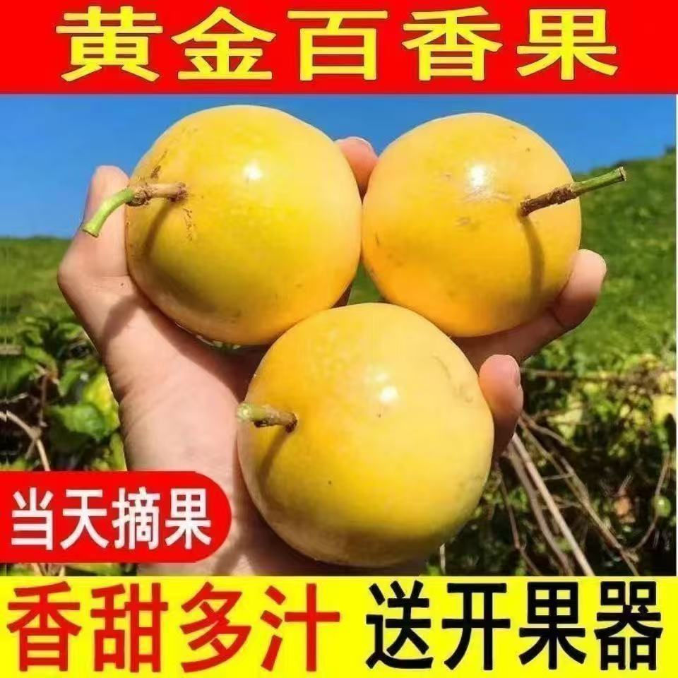 正宗钦蜜9号海南黄金百香果广西当季鸡蛋果新鲜孕妇水果整箱包邮