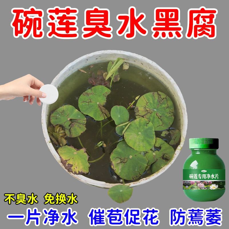 碗莲专用净水片高效养花净化水质净水片荷花净水荷花缸驱虫不臭水