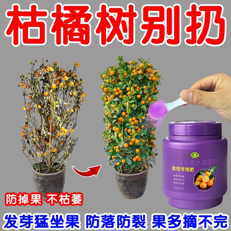 十里沃橘子树专用肥料桔子金桔柑橘肥料营养液防黄叶干枯催芽坐果