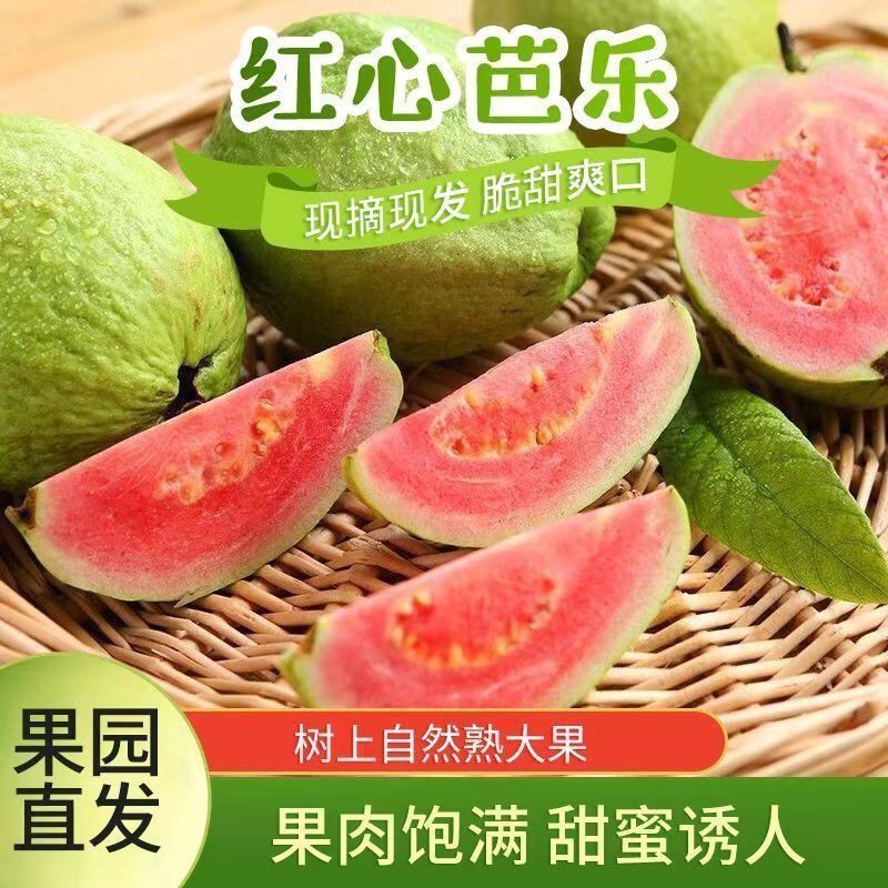 广西产地红心芭乐 清脆爽口低糖低卡 产地直发 送酸梅粉 图片 3