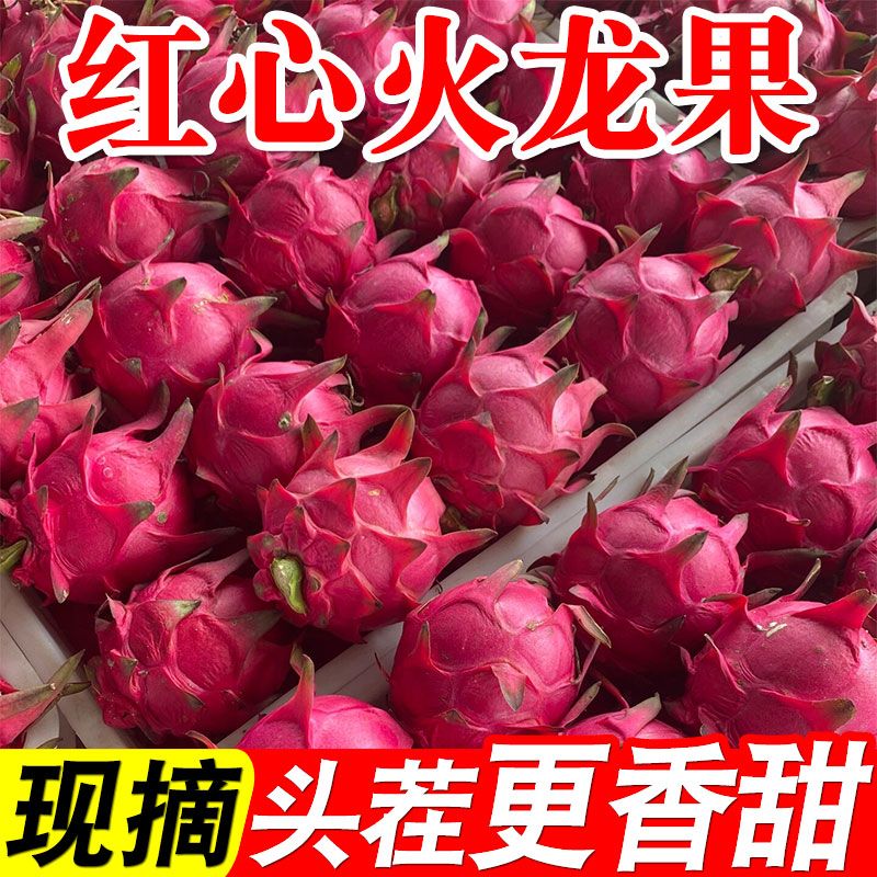 金都一号红心火龙果5斤单果300g 15.9元 - 线报酷