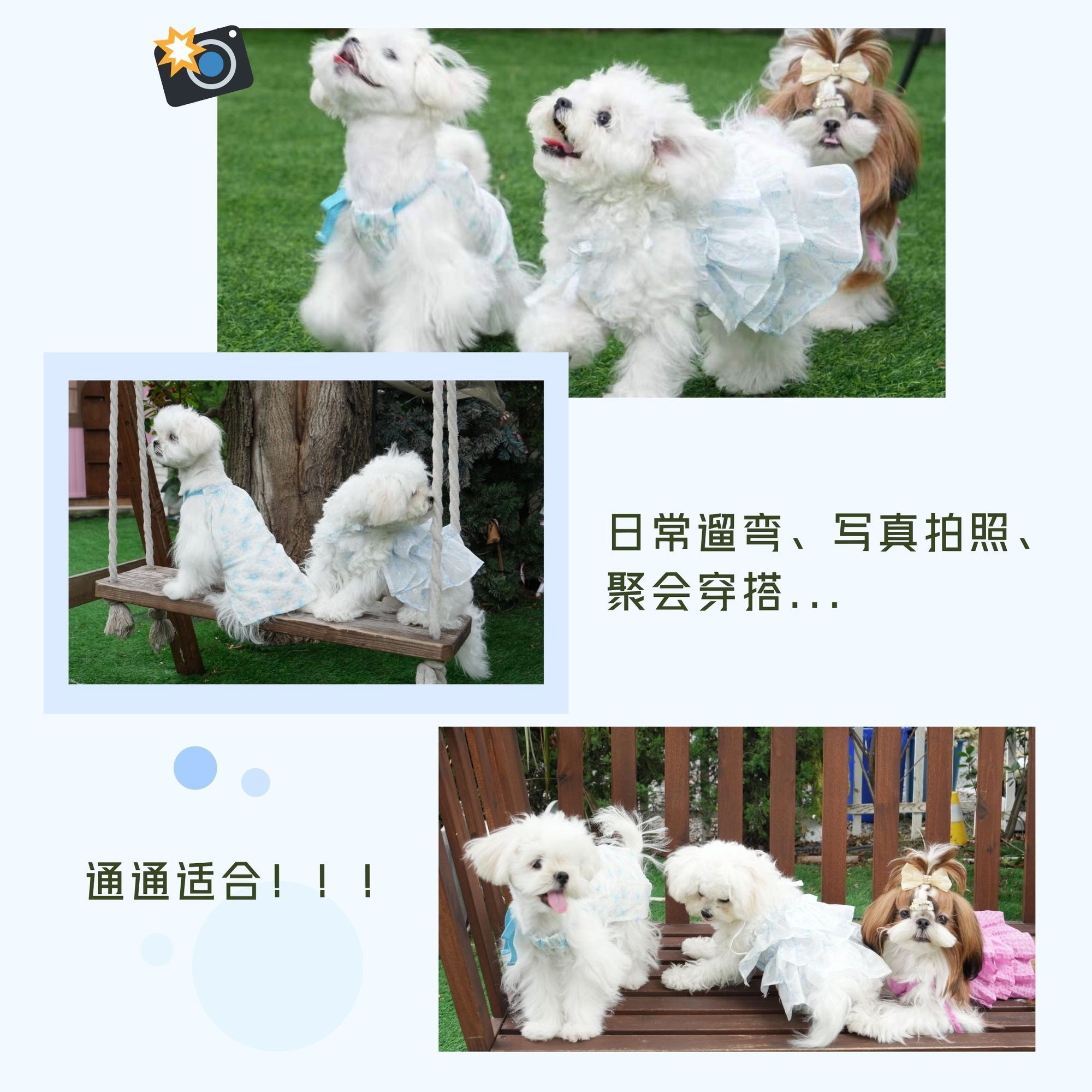 商品缩略图 6