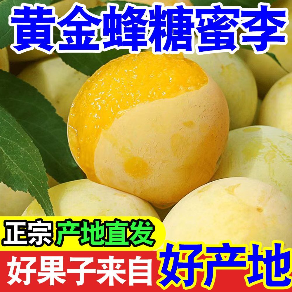正宗黄金蜂糖李贵州四川冰糖李新鲜水果脱骨李子半边冰糖当季脆甜