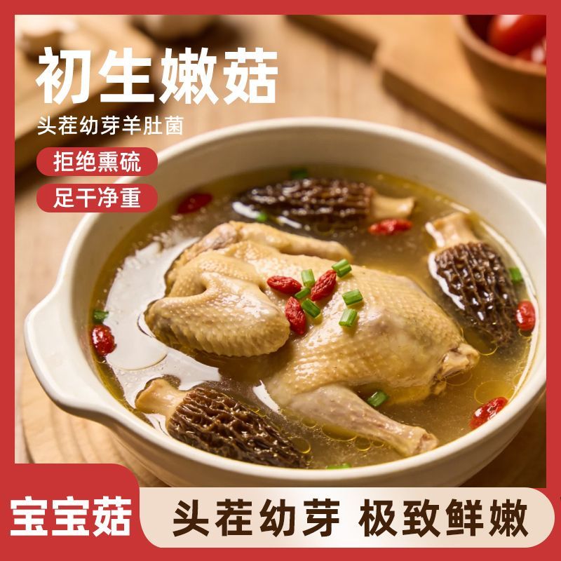 巨鲜羊肚菌四川金堂茬滋补食材金堂特产干货营养菌菇煲汤炖鸡火锅